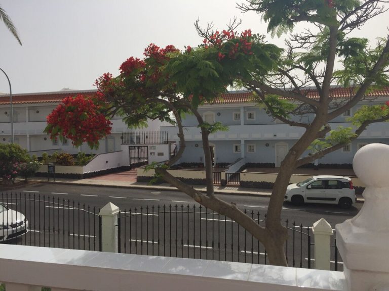 23-Royal Palms-Los Christianos-Tenerife-Holiday-Apartment 00009